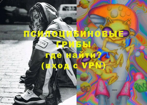 дмт Каменногорск