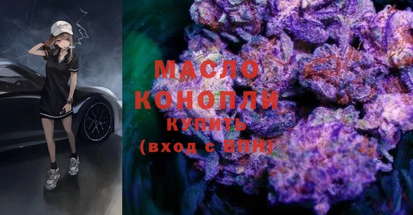 дмт Каменногорск