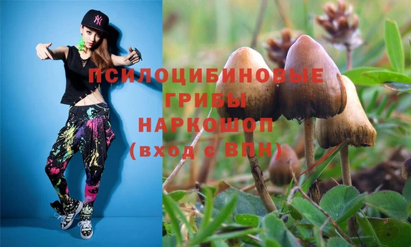 mdma Каменка