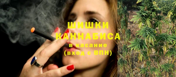 дмт Каменногорск
