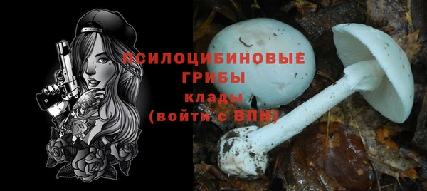 дмт Каменногорск